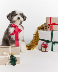 ANTEPRIMA_WIREBAG_CHRISTMAS_CHARM_PA23SR12E5_Accessories_Christmas_Tree_Ginger_breadman_Xmas_Gift_dog