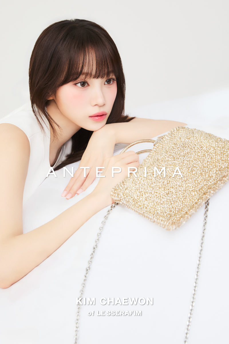 ANTEPRIMA Official eShop | Luxury Designer Fashion Wirebags